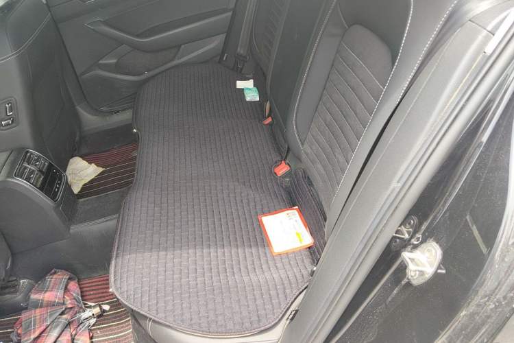 Used Volkswagen Magotan 2020 330TSI DSG Luxury Edition Left Rear Seat
