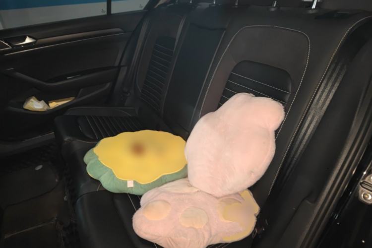 Used Volkswagen Magotan 2020 330TSI DSG Leading Model Left Rear Seat
