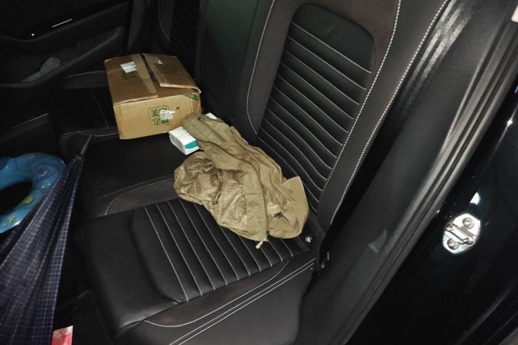 Used Volkswagen Magotan 2020 330TSI DSG Leading Model Left Rear Seat