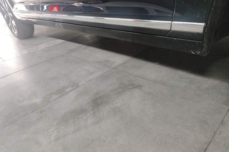 Used Volkswagen Magotan 2020 330TSI DSG Leading Model Right Side Sill