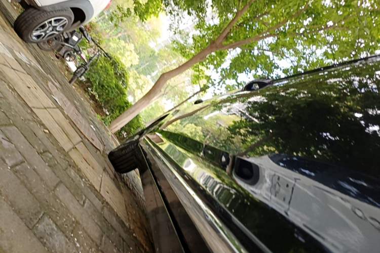 Used Volkswagen Magotan 2020 330TSI DSG Leading Model Right Side Sill
