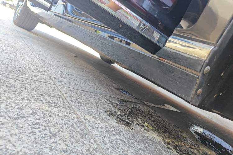 Used Volkswagen Magotan 2020 330TSI DSG Leading Model Right Side Sill