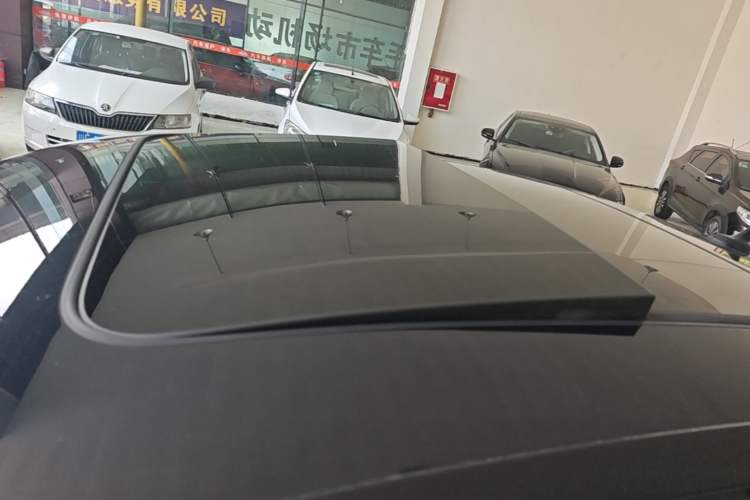 Used Volkswagen Magotan 2020 330TSI DSG Luxury Edition Roof