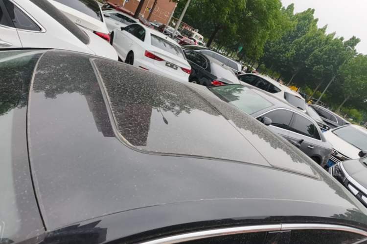 Used Volkswagen Magotan 2020 330TSI DSG Leading Model Roof