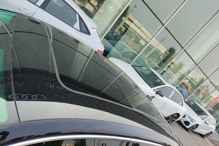 Used Volkswagen Magotan 2020 330TSI DSG Leading Model Roof