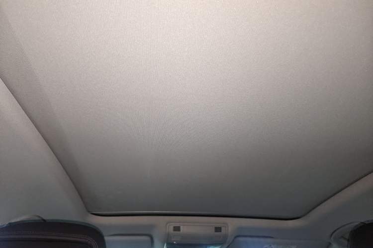 Used Volkswagen Magotan 2020 380TSI DSG Flagship Edition Headliner