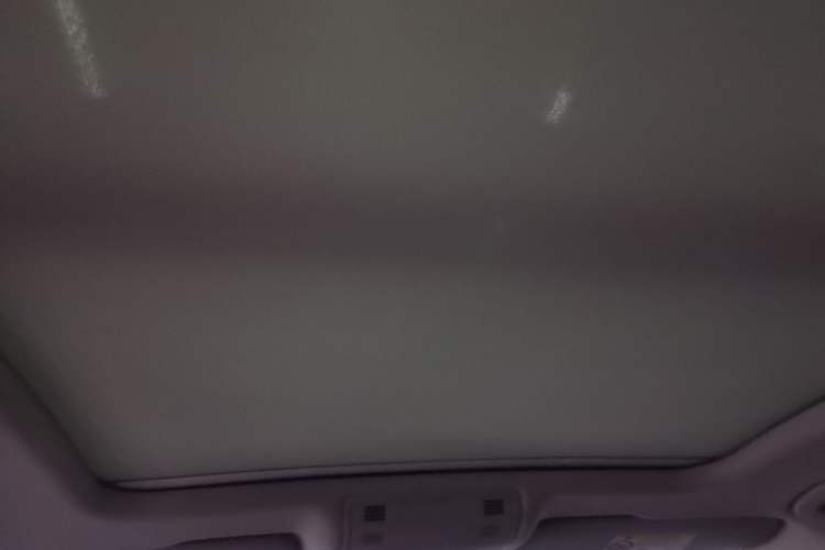 Used Volkswagen Magotan 2020 330TSI DSG Luxury Edition Headliner