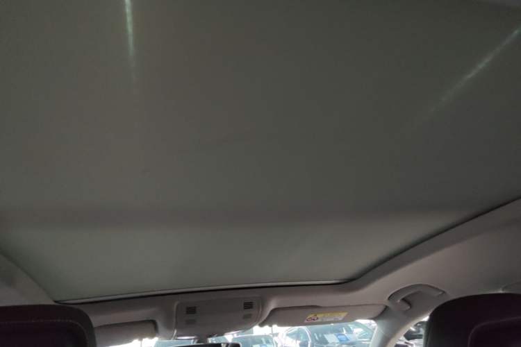 Used Volkswagen Magotan 2020 330TSI DSG Luxury Edition Headliner