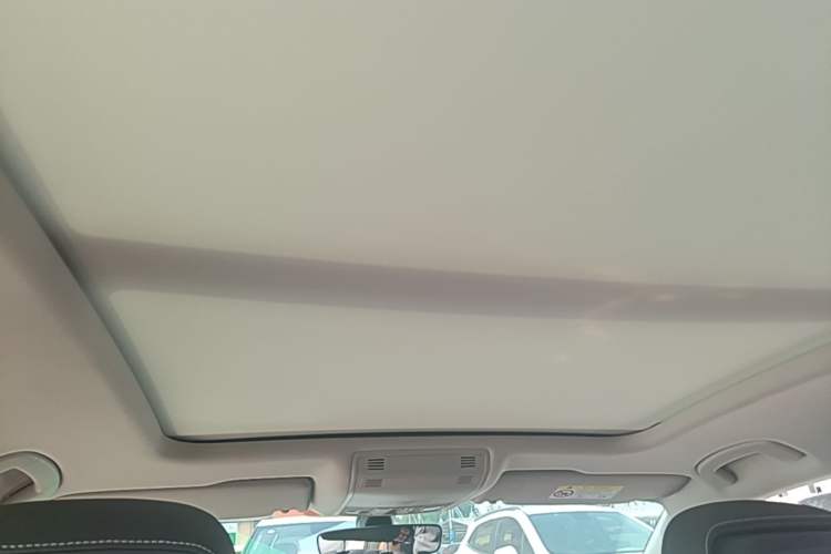 Used Volkswagen Magotan 2020 330TSI DSG Leading Model Headliner