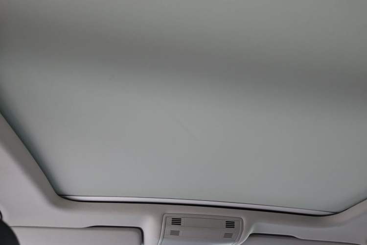 Used Volkswagen Magotan 2020 330TSI DSG Luxury Edition Headliner