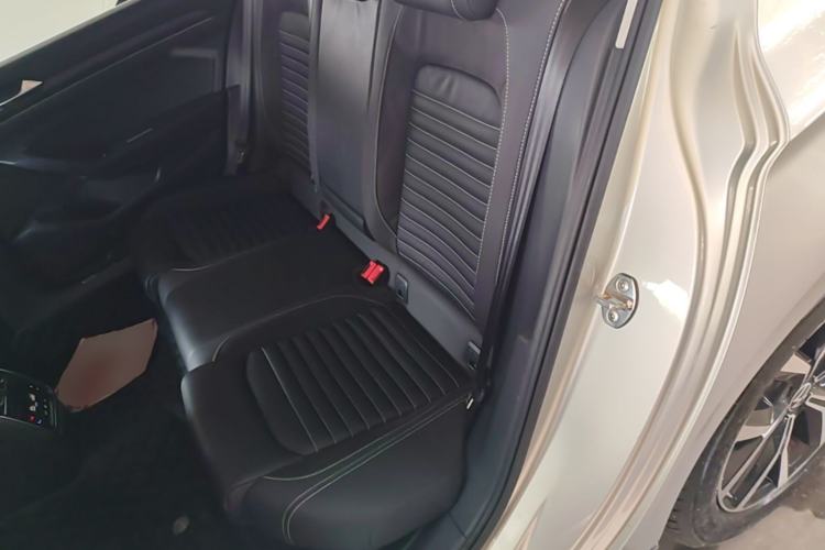 Used Volkswagen Magotan 2020 330TSI DSG Luxury Edition Left Rear Seat