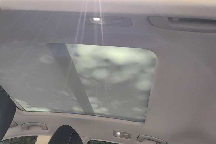 Used Volkswagen Magotan 2020 330TSI DSG Luxury Edition Headliner