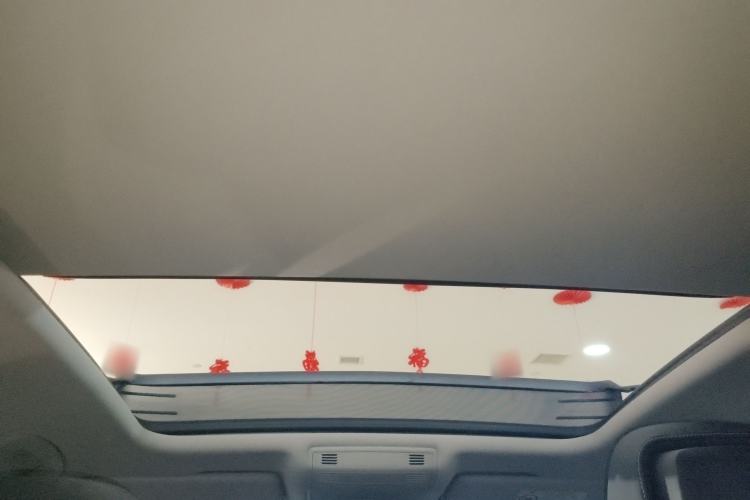 Used Volkswagen Magotan 2020 330TSI DSG Luxury Edition Headliner