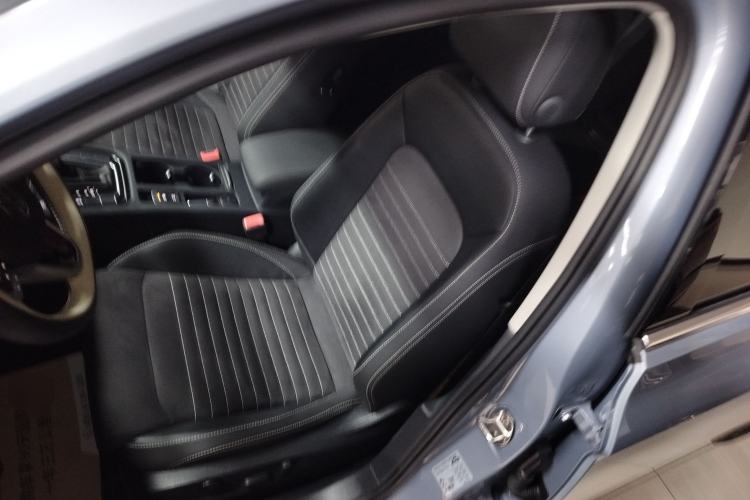 Used Volkswagen Magotan 2020 380TSI DSG Luxury Version Left Front Seat