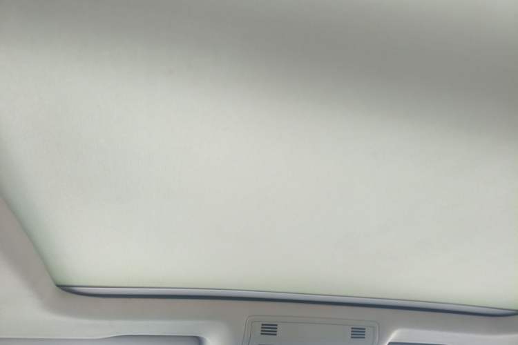 Used Volkswagen Magotan 2020 330TSI DSG Luxury Edition Headliner