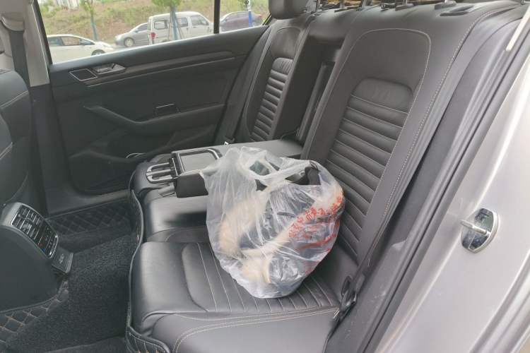 Used Volkswagen Magotan 2020 330TSI DSG Leading Model Left Rear Seat
