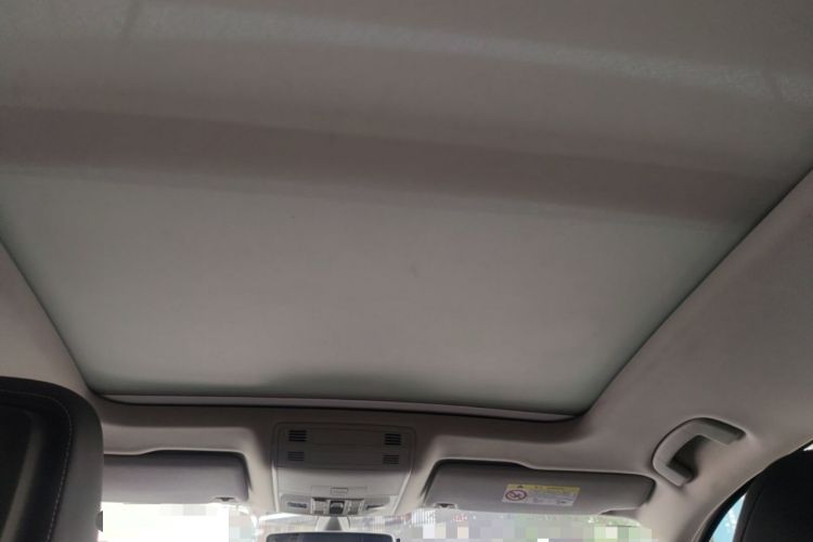 Used Volkswagen Magotan 2020 330TSI DSG Luxury Edition Headliner