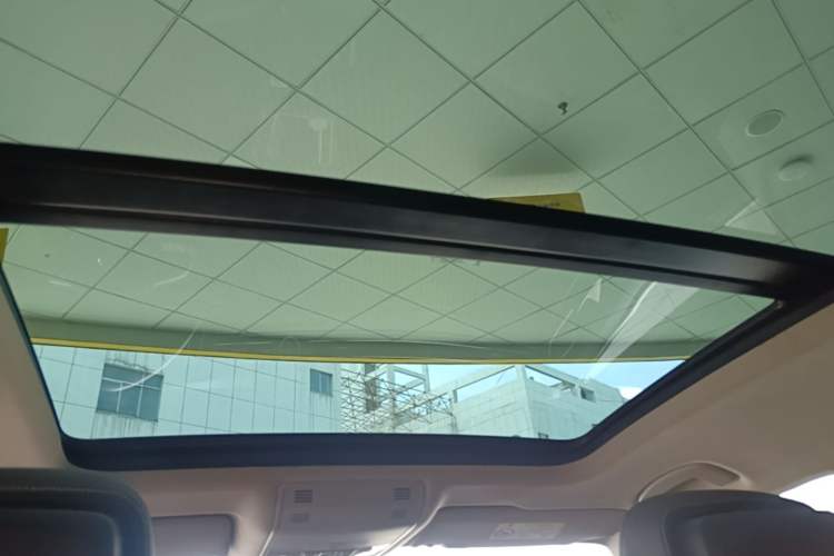 Used Volkswagen Magotan 2020 330TSI DSG Luxury Edition Headliner