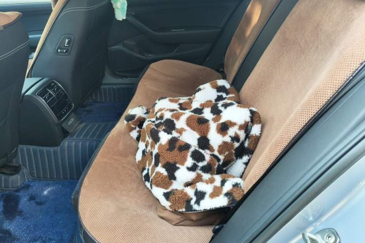Used Volkswagen Magotan 2020 380TSI DSG Luxury Version Left Rear Seat