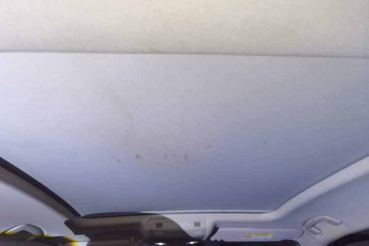 Used Volkswagen Magotan 2020 330TSI DSG Luxury Edition Headliner