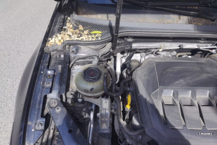 Used Volkswagen Magotan 2021 330TSI DSG 30th Anniversary Edition Engine Bay Right