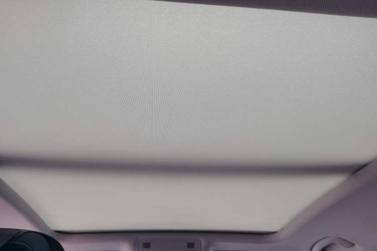 Used Volkswagen Magotan 2021 330TSI DSG 30th Anniversary Edition Headliner