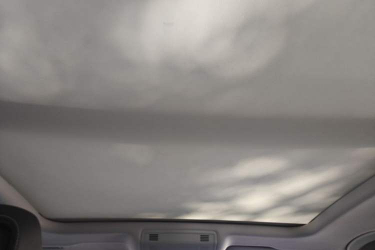 Used Volkswagen Magotan 2021 330TSI DSG 30th Anniversary Edition Headliner