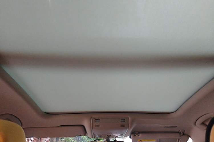 Used Volkswagen Magotan 2021 330TSI DSG 30th Anniversary Edition Headliner