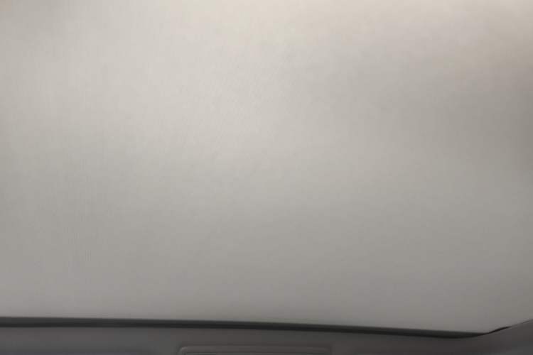 Used Volkswagen Magotan 2021 330TSI DSG 30th Anniversary Edition Headliner