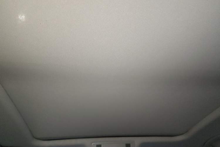 Used Volkswagen Magotan 2021 330TSI DSG 30th Anniversary Edition Headliner