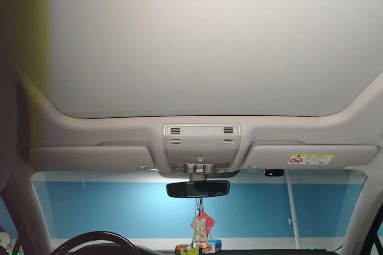 Used Volkswagen Magotan 2021 330TSI DSG 30th Anniversary Edition Headliner