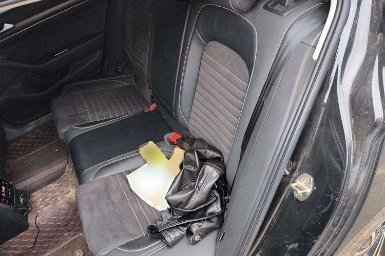 Used Volkswagen Magotan 2021 330TSI DSG 30th Anniversary Edition Left Rear Seat