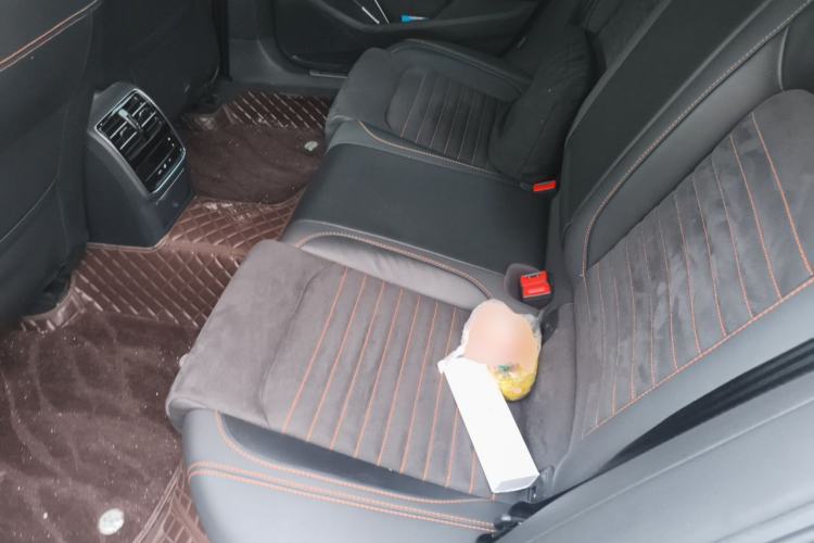 Used Volkswagen Magotan 2021 330TSI DSG 30th Anniversary Edition Left Rear Seat