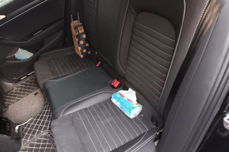 Used Volkswagen Magotan 2021 330TSI DSG 30th Anniversary Edition Left Rear Seat