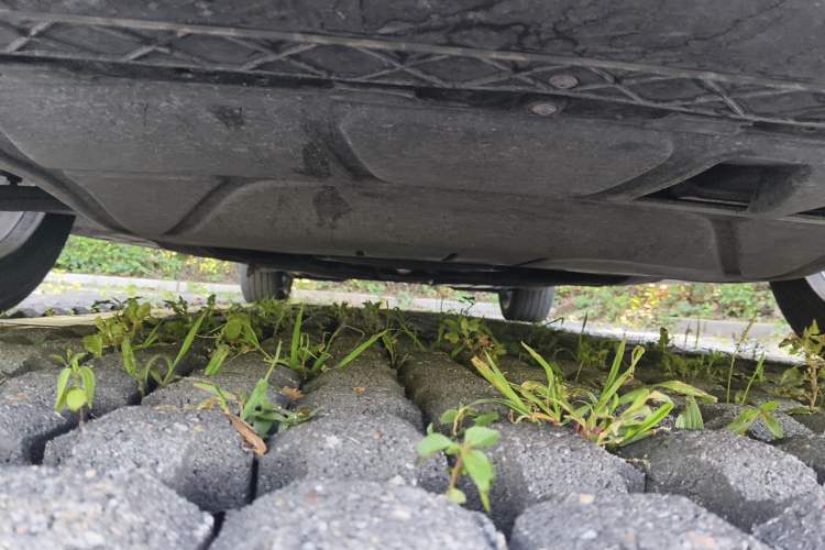 Used Volkswagen Magotan 2023 2 Million Units Commemorative Edition 330TSI DSG Luxury Version Chassis Front