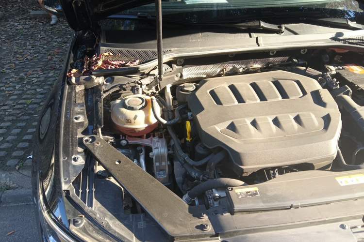 Used Volkswagen Magotan 2023 2 Million Units Limited Edition 330TSI DSG Leading Version Engine Bay Right