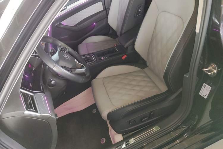 Used Volkswagen Magotan 2023 2 Million Units Limited Edition 280TSI DSG Leading Version Left Front Seat