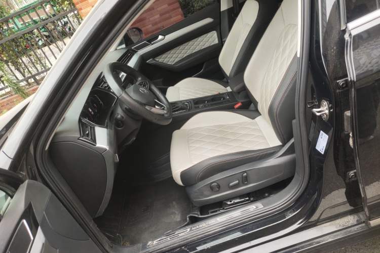 Used Volkswagen Magotan 2023 2 Million Units Commemorative Edition 330TSI DSG Luxury Version Left Front Seat