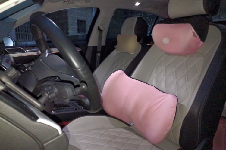Used Volkswagen Magotan 2023 2 Million Units Commemorative Edition 330TSI DSG Luxury Version Left Front Seat