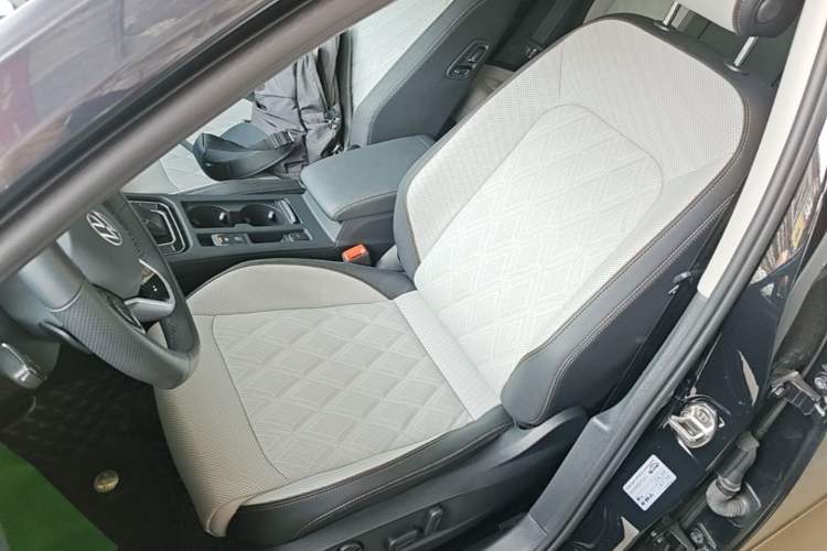 Used Volkswagen Magotan 2023 2 Million Units Commemorative Edition 330TSI DSG Luxury Version Left Front Seat