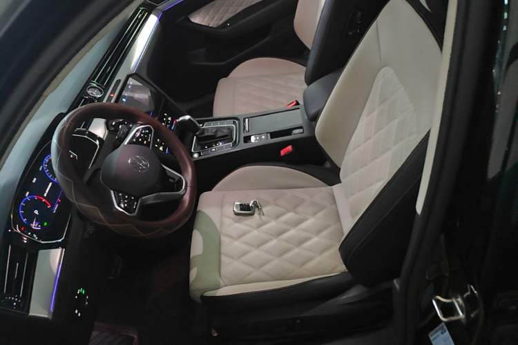 Used Volkswagen Magotan 2023 2 Million Units Commemorative Edition 330TSI DSG Luxury Version Left Front Seat