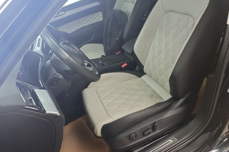 Used Volkswagen Magotan 2023 2 Million Units Commemorative Edition 330TSI DSG Luxury Version Left Front Seat