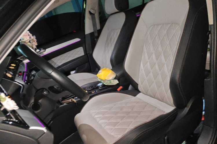 Used Volkswagen Magotan 2023 2 Million Units Commemorative Edition 330TSI DSG Luxury Version Left Front Seat
