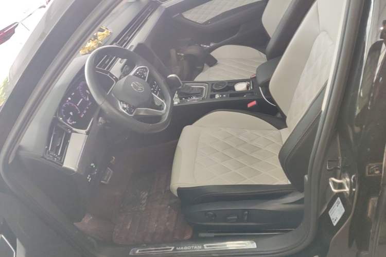 Used Volkswagen Magotan 2023 2 Million Units Commemorative Edition 330TSI DSG Luxury Version Left Front Seat