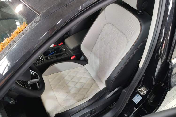 Used Volkswagen Magotan 2023 2 Million Units Commemorative Edition 330TSI DSG Luxury Version Left Front Seat