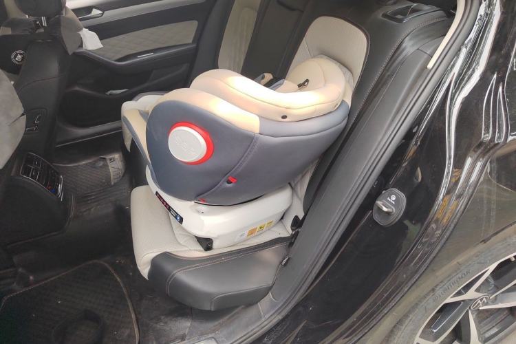 Used Volkswagen Magotan 2023 2 Million Units Commemorative Edition 330TSI DSG Luxury Version Left Rear Seat