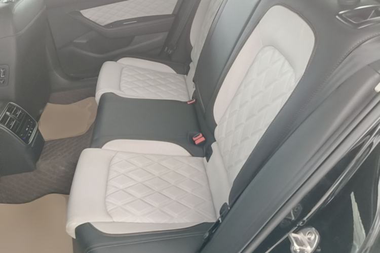 Used Volkswagen Magotan 2023 2 Million Units Commemorative Edition 330TSI DSG Luxury Version Left Rear Seat