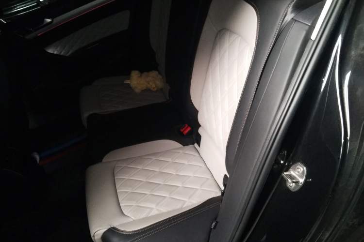 Used Volkswagen Magotan 2023 2 Million Units Commemorative Edition 330TSI DSG Luxury Version Left Rear Seat
