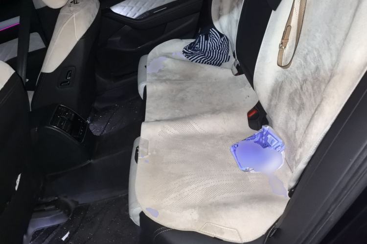 Used Volkswagen Magotan 2023 2 Million Units Commemorative Edition 330TSI DSG Luxury Version Left Rear Seat