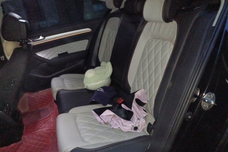 Used Volkswagen Magotan 2023 2 Million Units Commemorative Edition 330TSI DSG Luxury Version Left Rear Seat